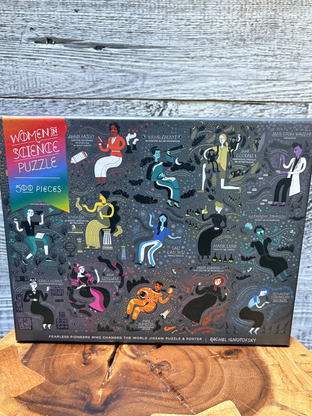Potter Puzzles | "Women in Science" 500pc Jigsaw Puzzle - Complete